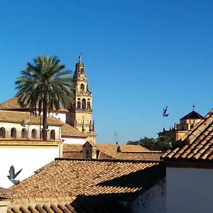 La Mirada De La Juderia Cordova